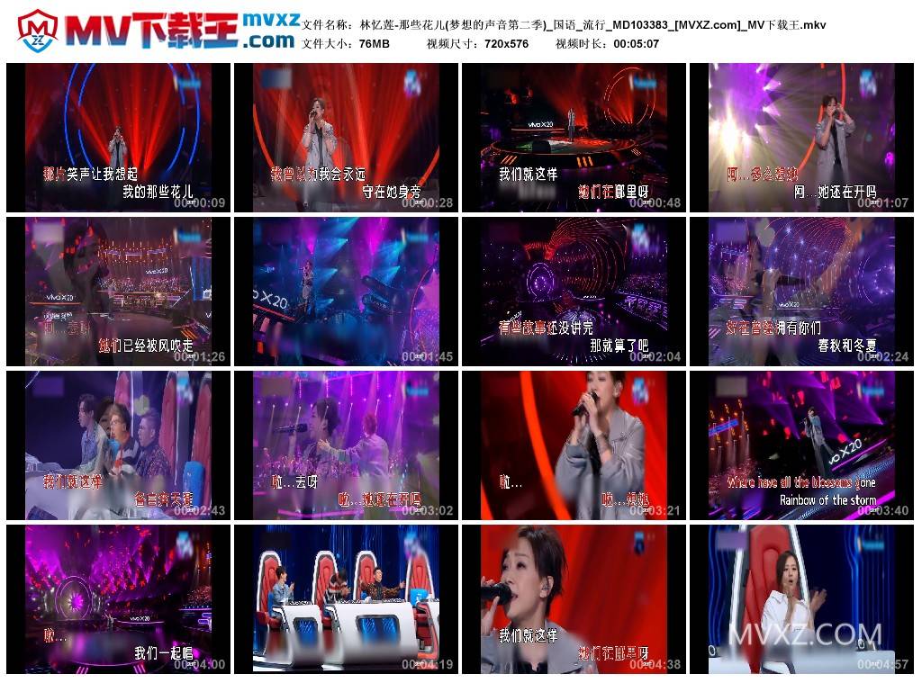 林忆莲-那些花儿(梦想的声音第二季)_国语_流行_MD103383